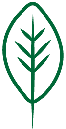 leaf3