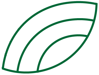 shape1